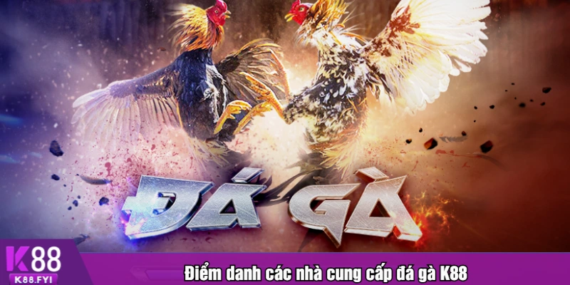 Điểm danh các nhà cung cấp đá gà K88