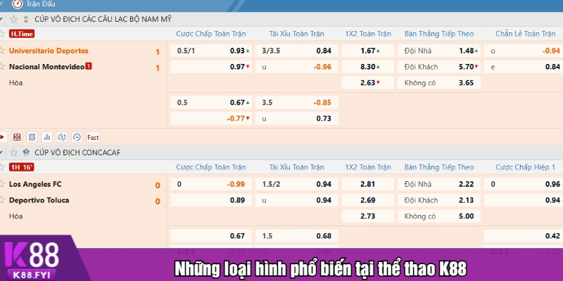 Những loại hình phổ biến tại thể thao K88