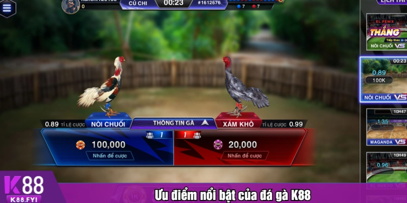 Ưu điểm nổi bật của đá gà K88
