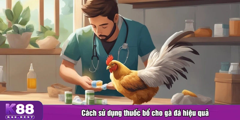 Cách sử dụng thuốc bổ cho gà đá hiệu quả