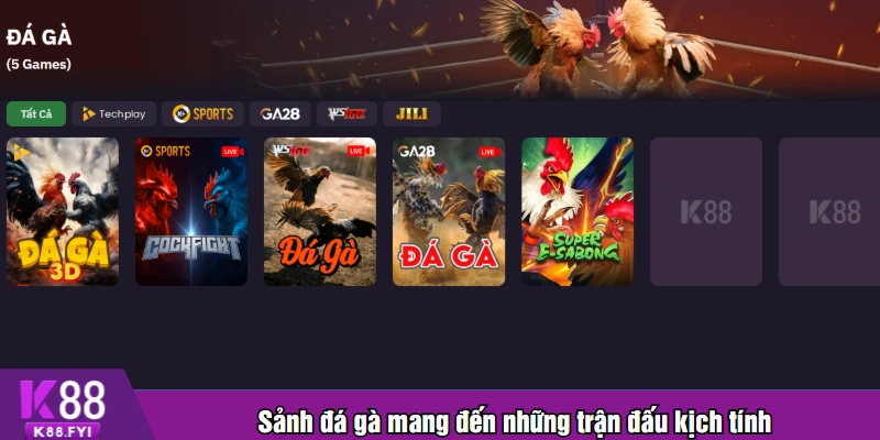 Sảnh đá gà mang đến những trận đấu kịch tính