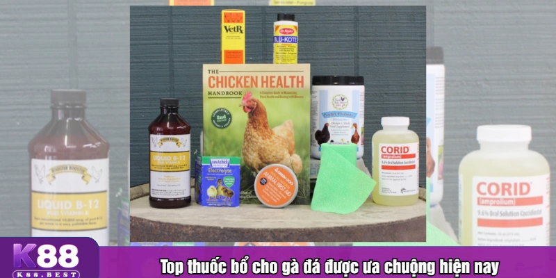 Top thuốc bổ cho gà đá được ưa chuộng hiện nay